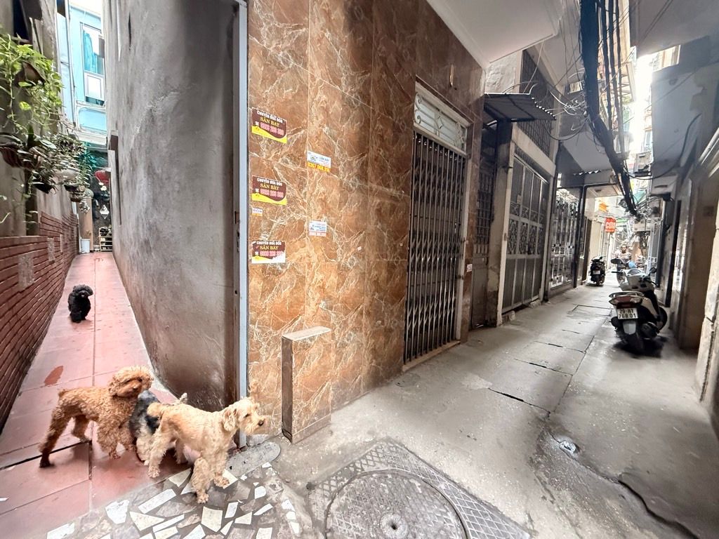 Bán nhà Mai Hương - diện tích 49,3m2 3 tầng - Nhà ngõ tiện ích gần trường Bách Khoa - giá 9,5 tỷ