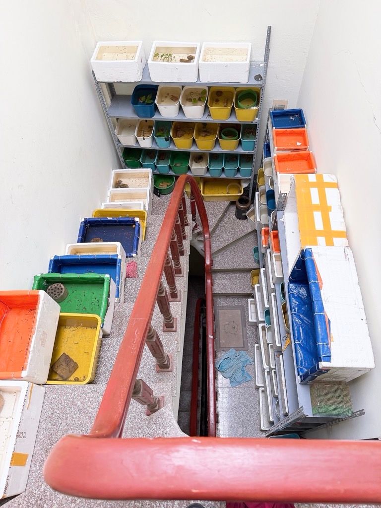 Bán nhà Hoàng Mai - diện tích 42m2 5 tầng - Nhà đẹp hiếm có - giá 7,5 tỷ