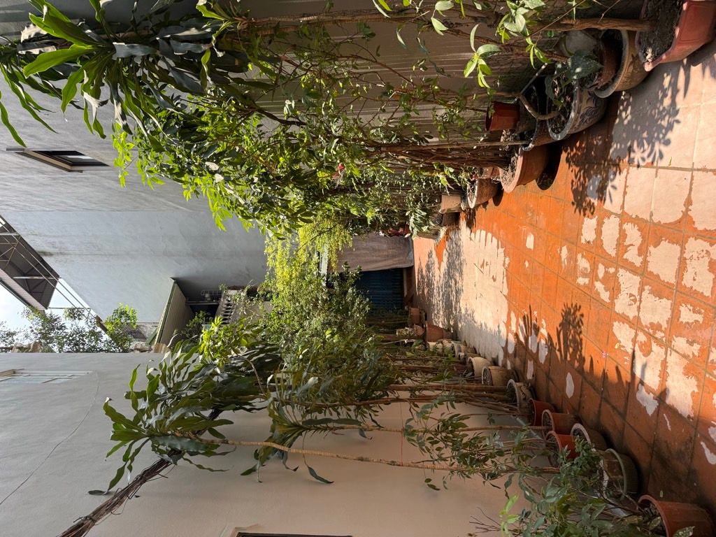 Bán nhà Vương Thừa Vũ - diện tích 50m2 5 tầng - Ô tô đỗ cổng - giá 14,6 tỷ