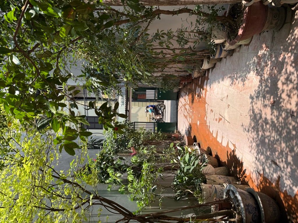 Bán nhà Vương Thừa Vũ - diện tích 50m2 5 tầng - Ô tô đỗ cổng - giá 14,6 tỷ