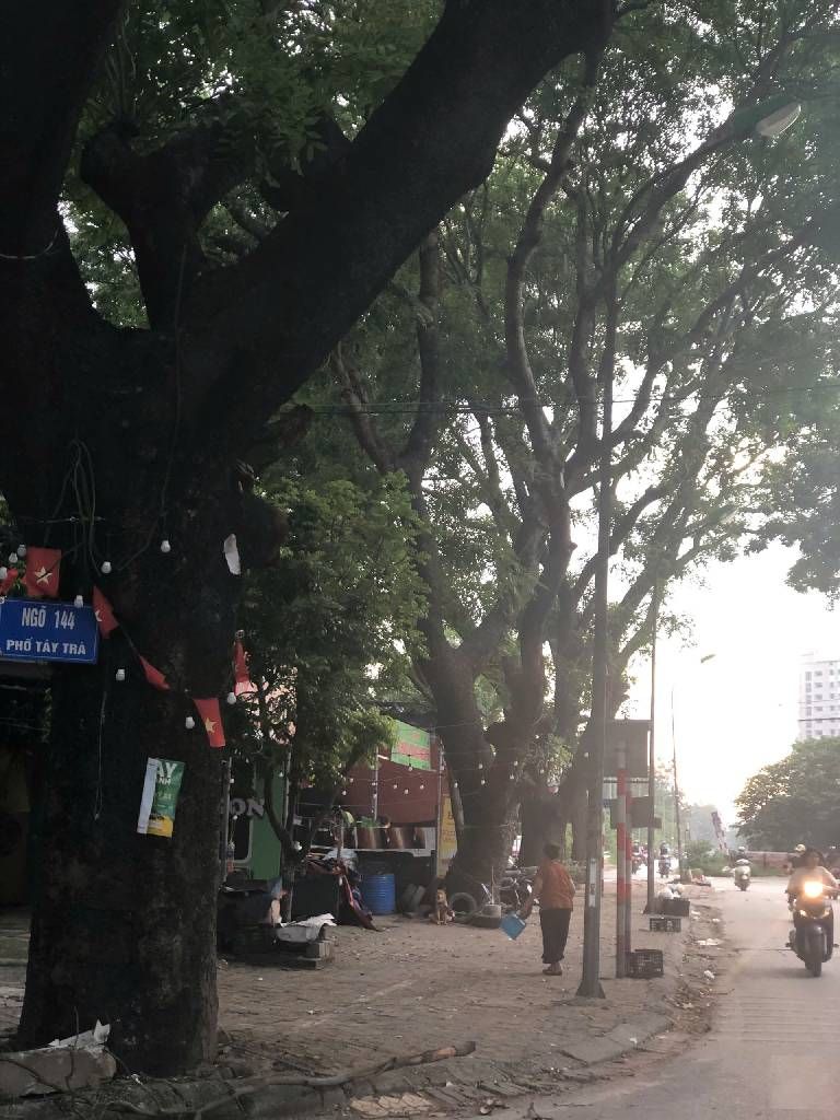 Bán nhà Tây Trà - diện tích 40m2 1 tầng - Mặt phố - giá 16,8 tỷ