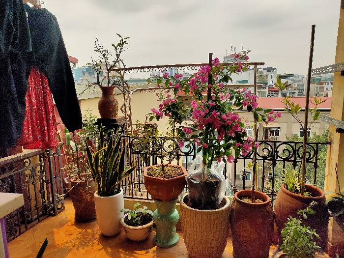 Bán nhà Đê La Thành - diện tích 36m2 6 tầng - Lô góc, vị trí đẹp - giá 15 tỷ