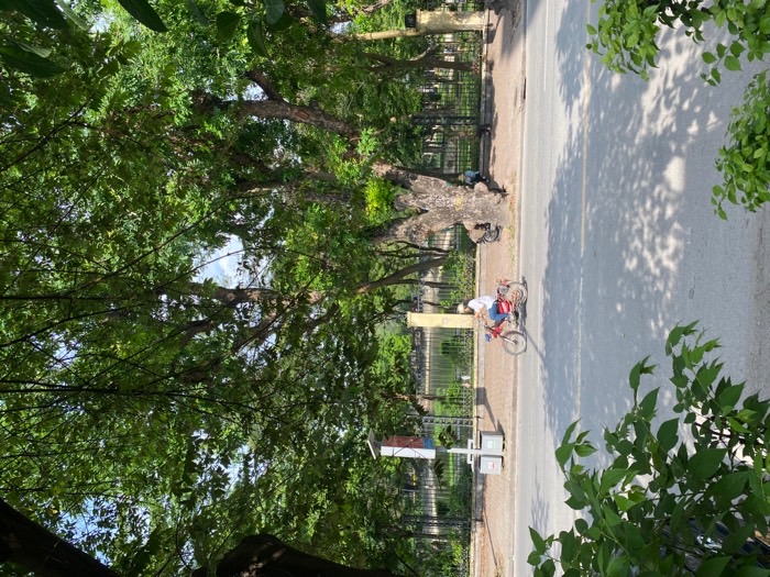 Bán nhà Lê Duẩn - diện tích 41.5m2 3 tầng - Mặt phố kinh doanh - giá 7,2 tỷ