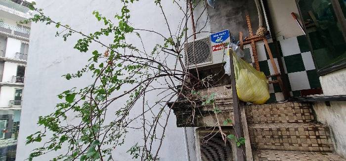 Bán nhà Phố Vọng - diện tích 54m2 4 tầng - Mặt phố siêu kinh doanh - giá 22,5 tỷ