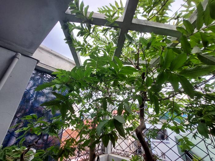 Bán nhà Định Công Hạ - diện tích 68.3m2 5 tầng - ô tô qua nhà - giá 13,3 tỷ