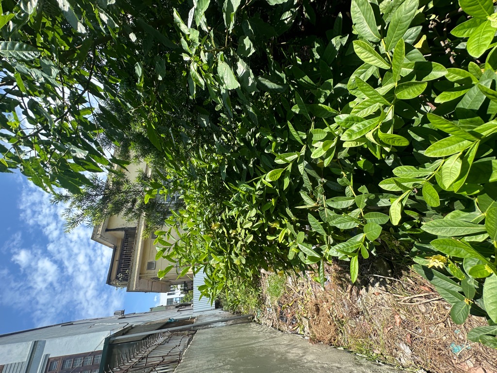 Bán nhà Khuyến Lương - diện tích 76m2 1 tầng - Mảnh đất vàng trong làng - giá 1,3 tỷ