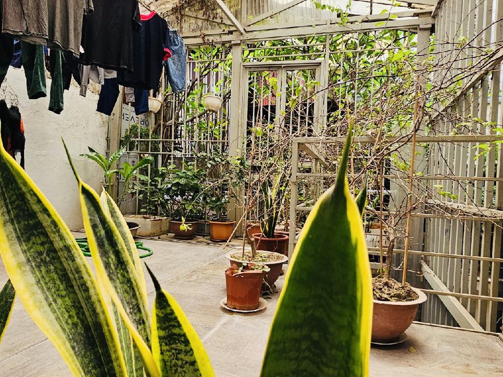 Bán nhà Hàng Chuối - diện tích 45m2 3 tầng - Nhà đẹp hiếm có - giá 13,5 tỷ