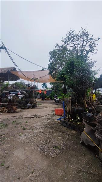 Bán nhà Trần Hòa - diện tích 47.2m2 3 tầng - Ngõ thông 2 mặt ngõ - giá 3 tỷ