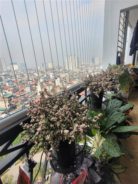 Bán nhà Nguyễn Trãi - diện tích 133.6m2 11 tầng - CĂN HỘ ĐẸP ĐẲNG CẤP - FULL NỘI THẤT 5 SAO - Ở LUÔN - giá 20 tỷ